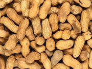 Skin Patch May Help With Peanut Allergy Delivering small amounts of peanut protein boosted tolerance for about half of young patients in study