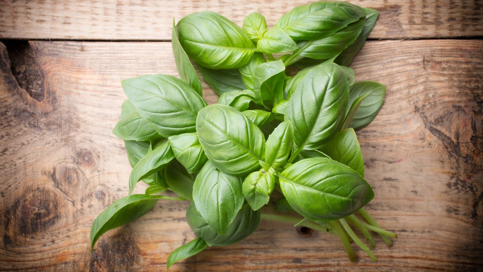 Can Eating Basil Induce Labor?