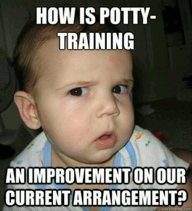 How to Potty Train Your Child Like a Pro.